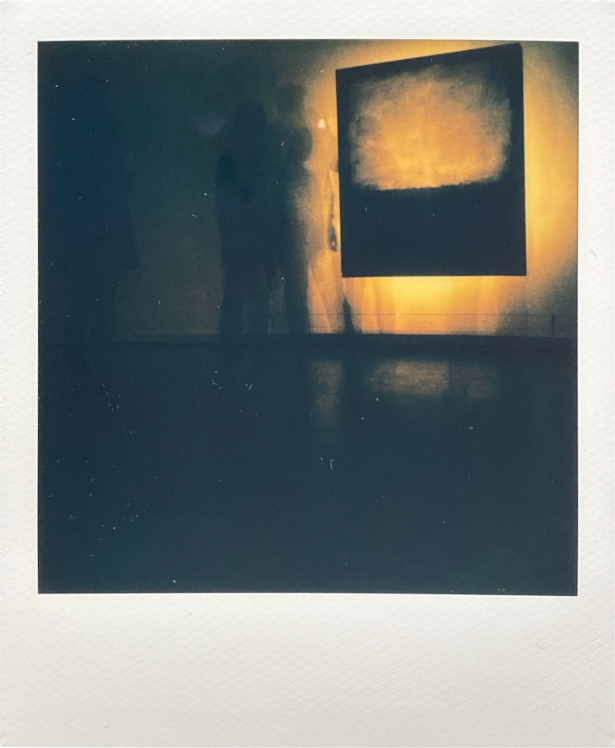 polaroid Rothko