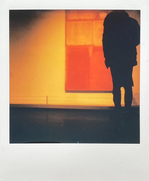 polaroid Rothko