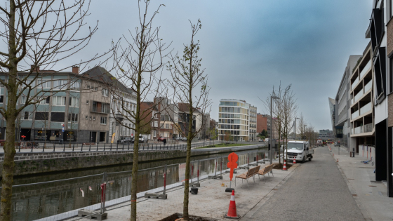 Zicht op de nieuwe bomen en het nieuwe wegdek