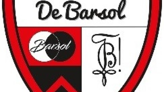 barsol