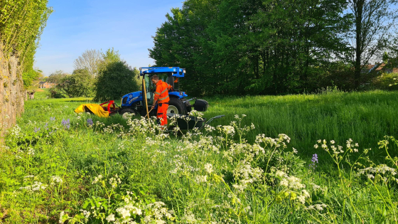 groen ecologie